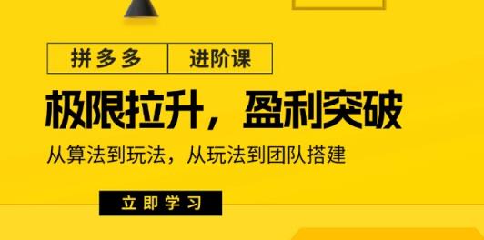 拼多多平台升阶课：极限值拉涨/赢利提升：从优化算法到游戏玩法 从模式到团队搭建-天天有课网