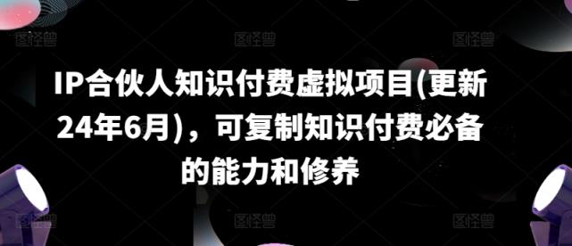 IP合作伙伴社交电商虚拟资源项目(升级24年6月)，复制推广社交电商必不可少能力与涵养-天天有课网