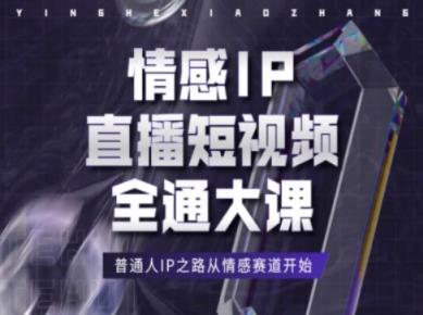 情绪IP直播短视频全通大课，平常人IP之途从情感跑道逐渐-天天有课网