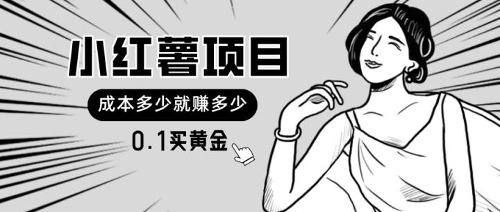 小红书暴力行为新项目，0.1买黄金首饰。使用方便，日入无限制，可无限扩大。-天天有课网