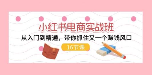 小红书电商实战演练班，实用教程，陪你把握住又一个挣钱出风口-天天有课网