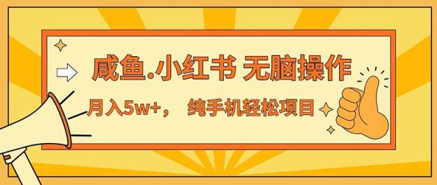 2024最赚钱的项目，咸鱼，小红书无脑操作，每单利润500+，轻松月入5万+…-天天有课网