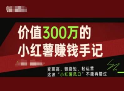 使用价值300万的小红书挣钱笔记，转现高、链接短、轻运营，这一波“小红书出风口”无法再错过了-天天有课网
