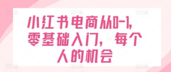 小红书电商从0-1，零基础入门，每一个人机遇-天天有课网