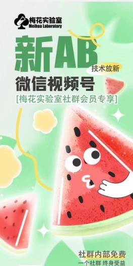 红梅花试验室2024年AB技术性微信视频号AB生成安卓版-天天有课网