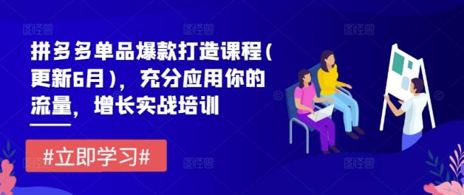 拼多多平台品类爆款打造课程内容(升级6月)，充分应用你的流量，提高实战培训-天天有课网