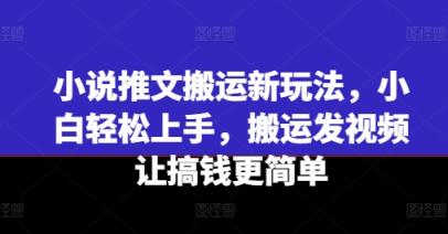 小说推文运送新模式，新手快速上手，运送上传视频让弄钱更方便-天天有课网