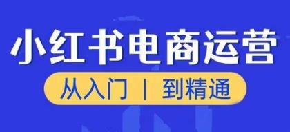 小红书电商运营课，实用教程，陪你把握住又一个挣钱出风口-天天有课网