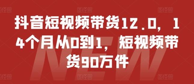 抖音小视频卖货12.0，14个月从0到1，短视频卖货90千件-天天有课网