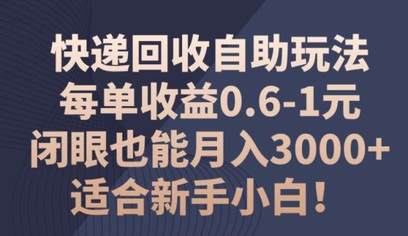 快递回收自助式游戏玩法，每一单盈利0.6-1元，闭上眼也可以月入3000 !适宜新手入门!-天天有课网