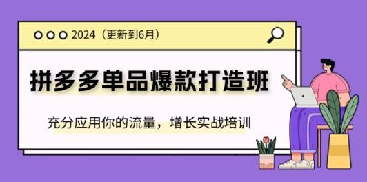 2024拼多多平台-品类爆款打造班(升级6月)，充分应用你的流量，提高实战培训-天天有课网