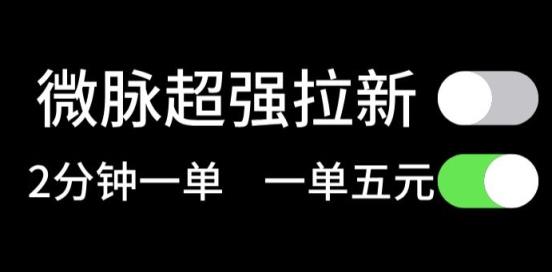 微脉没脑子引流，每一单5元钱，轻轻松松日入三位数-天天有课网