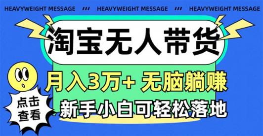 淘宝无人带货3.0高收益玩法，月入3万+，无脑躺赚，新手小白可落地实操-天天有课网
