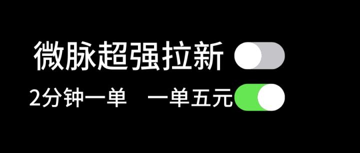 微脉超强拉新， 两分钟1单， 一单利润5块，适合小白-天天有课网