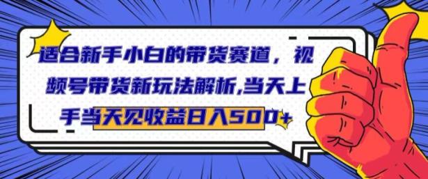 适合新手小白的带货赛道，视频号带货新玩法解析，当天上手当天见收益，日入500+-天天有课网