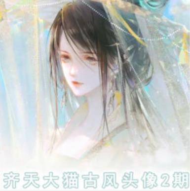 齐天大猫古风头像课第2期，帮助你提升你的绘画能力-天天有课网