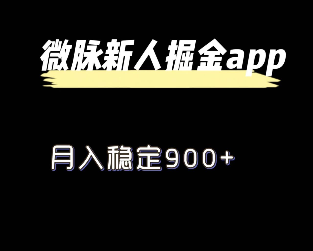 全新微脉长期新项目，引流掘金队，月入平稳900-天天有课网