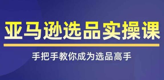 亚马逊选品实操课程，快速上手亚马逊选品技巧，遮盖亚马逊选品全部方式-天天有课网
