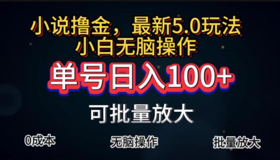 自动式小说集撸金，运单号日入100 新手快速上手，没脑子实际操作-天天有课网