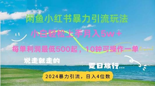 2024暑期挣钱的项目小红书的闲鱼暴力行为引流方法，简易没脑子实际操作，每单利润500 ，…-天天有课网