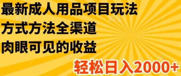 全新两性用品新项目游戏玩法，具体方法新零售，轻轻松松日入2K 【揭密】-天天有课网