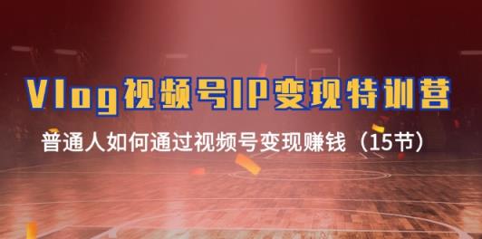 Vlog 视频号IP变现特训营，普通人如何通过视频号变现赚钱-天天有课网