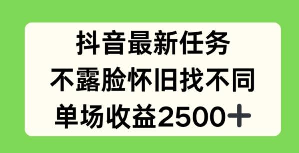 抖音最新每日任务，不露脸复古找不同游戏，场均盈利2.5k【揭密】-天天有课网