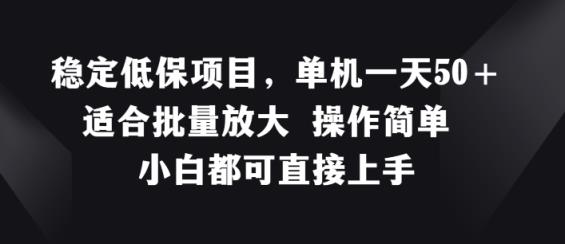 平稳低保户新项目，单机版一天50 适宜大批量变大 使用方便 小白都可直接上手【揭密】-天天有课网