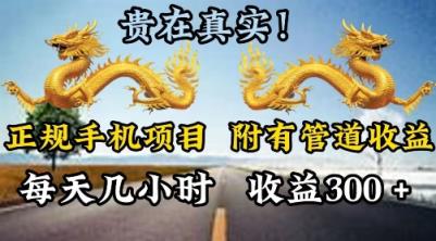 靠谱手机项目，附带丰富多样的管道收益，每日几个小时，盈利300-天天有课网