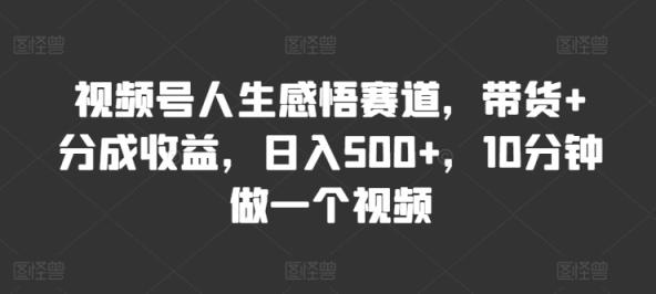 微信视频号人生的感悟跑道，卖货 分为盈利，日入500 ，10多分钟做一个视频-天天有课网