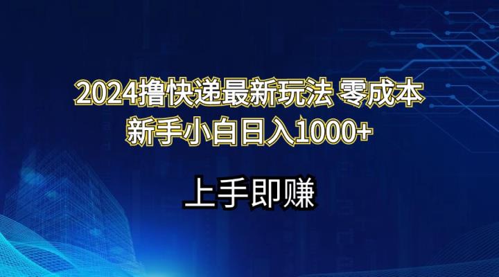 2024撸快递最新玩法零成本新手小白日入1000+-天天有课网