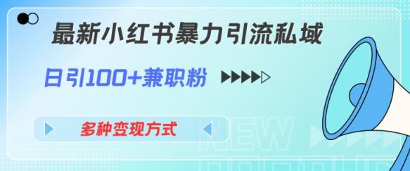 最新小红书暴力引流私域玩法，日引100+兼职粉，多种变现方式-天天有课网