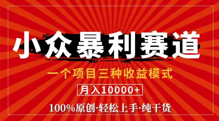 视频号【中老年粉深信不疑】小众赛道 100%原创 手把手教学 新号3天收益…-天天有课网