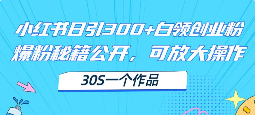 小红书日引300+高质白领创业粉，可放大操作，爆粉秘籍！30s一个作品-天天有课网