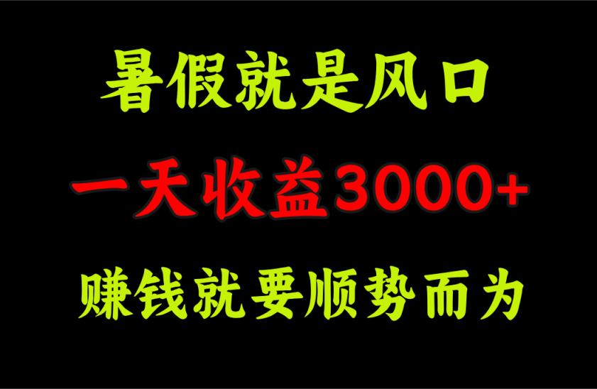 一天收益3000+ 赚钱就是顺势而为，暑假就是风口-天天有课网