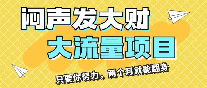 闷声发大财，大流量项目，月收益过3万，只要你努力，两个月就能翻身-天天有课网