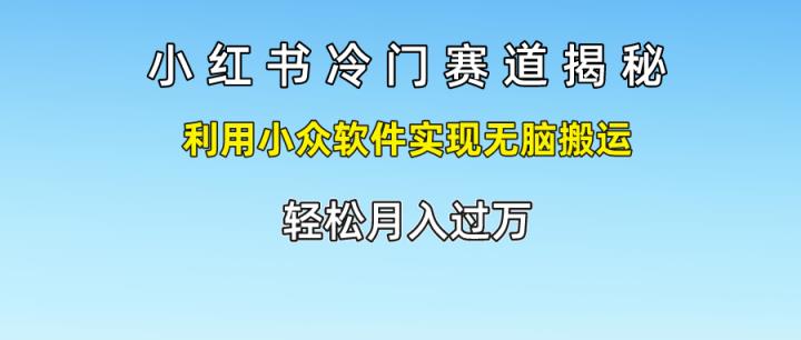 小红书的小众跑道揭密,运用小众软件完成没脑子运送，轻轻松松月入了万-天天有课网