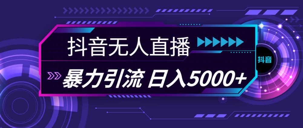 抖音无人在线，爆利引流方法，日入5000-天天有课网