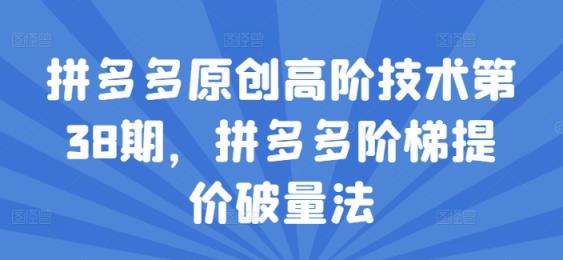拼多多平台原创设计高级技术性第38期，拼多多平台台阶涨价破量法-天天有课网