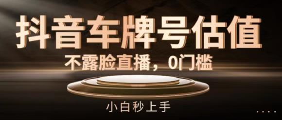抖音车型号公司估值，不露脸直播，0门坎，新手秒入门【揭密】-天天有课网