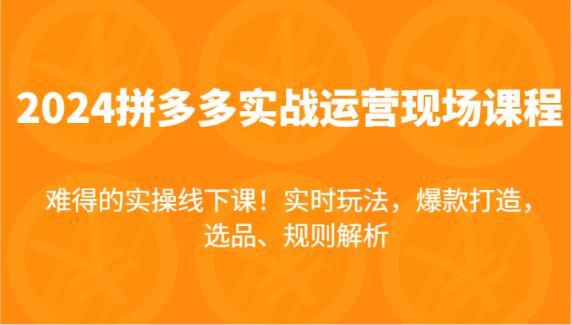 2024拼多多平台实战演练经营当场课，即时游戏玩法，爆款打造，选款、标准分析，不可多得的实际操作面授课！-天天有课网
