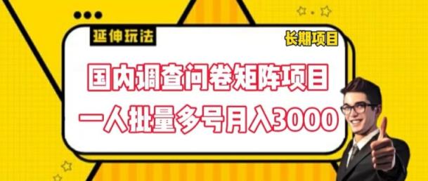 国内调查问卷矩阵项目，一人批量多号月入3000【揭秘】-天天有课网