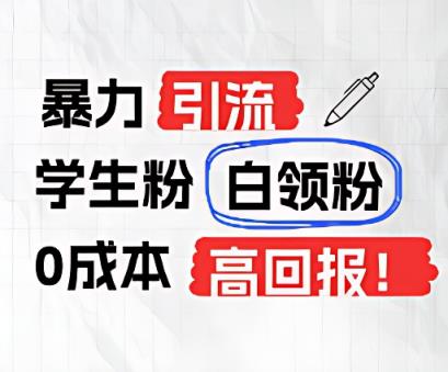 暴力行为引流方法学生们粉上班族粉，完爆过去废弃物游戏玩法，0成本费，高收益-天天有课网