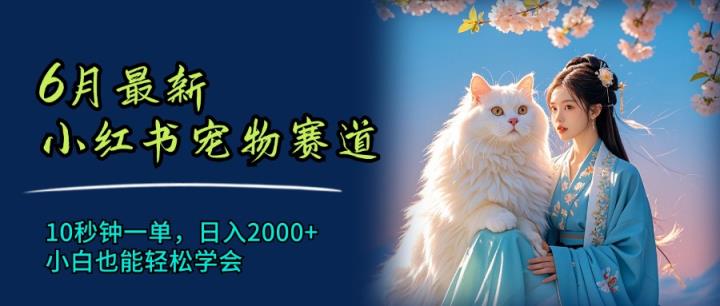 6月全新小红书的小宠物跑道，10秒左右一单，日入2000 ，新手都可以轻松懂得-天天有课网