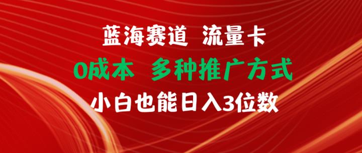 瀚海跑道 上网卡 0成本费 新手也可以日入三位数-天天有课网