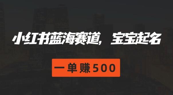 小红书的瀚海跑道，宝宝取名，一单赚500-天天有课网
