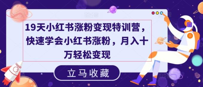19天小红书涨粉变现特训营，快速学会小红书涨粉，月入十万轻松变现-天天有课网