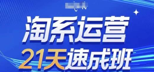 淘系运营21天速成班(更新24年7月)，0基础轻松搞定淘系运营，不做假把式-天天有课网