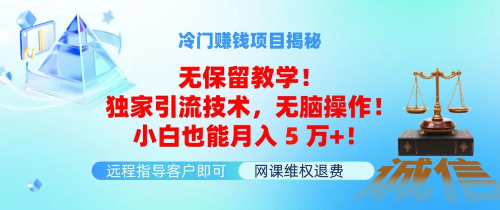冷门赚钱项目无保留教学！独家引流技术，无脑操作！小白也能月入5万+！-天天有课网
