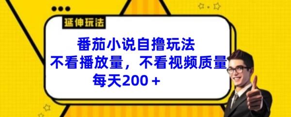 番茄小说自撸游戏玩法，不要看播放率，不要看视频清晰度，每日200 【揭密】-天天有课网
